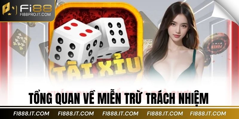 Tổng quan về miễn trừ trách nhiệm