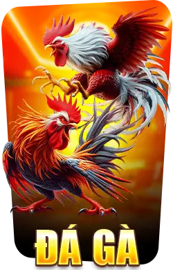 Hướng Dẫn Toàn Diện Về Fi88.day - Cơ Hội Vàng